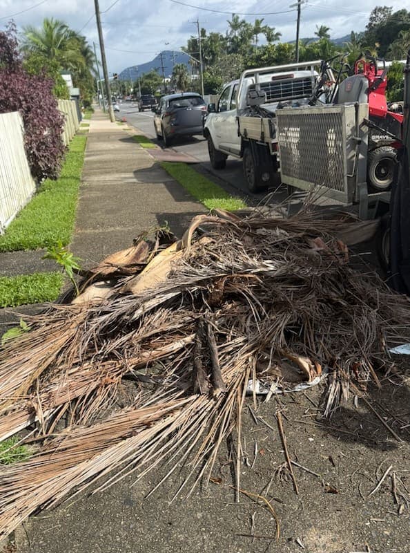 Cut palm fronds stacked at the kerb beside a tipper, ready to be taken away