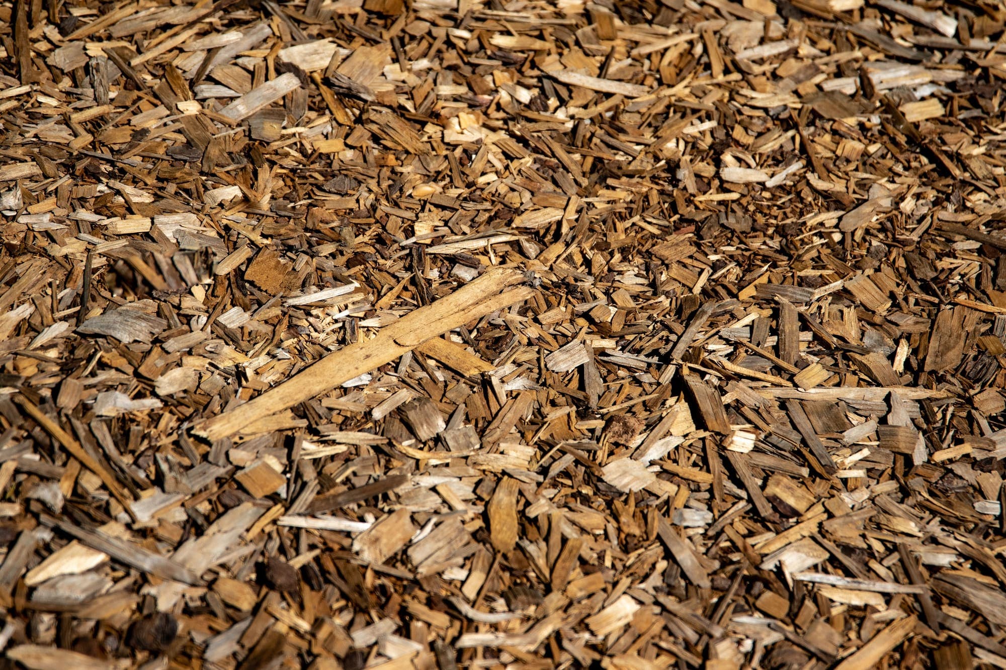 Close view of coarse, freshly spread wood chip mulch