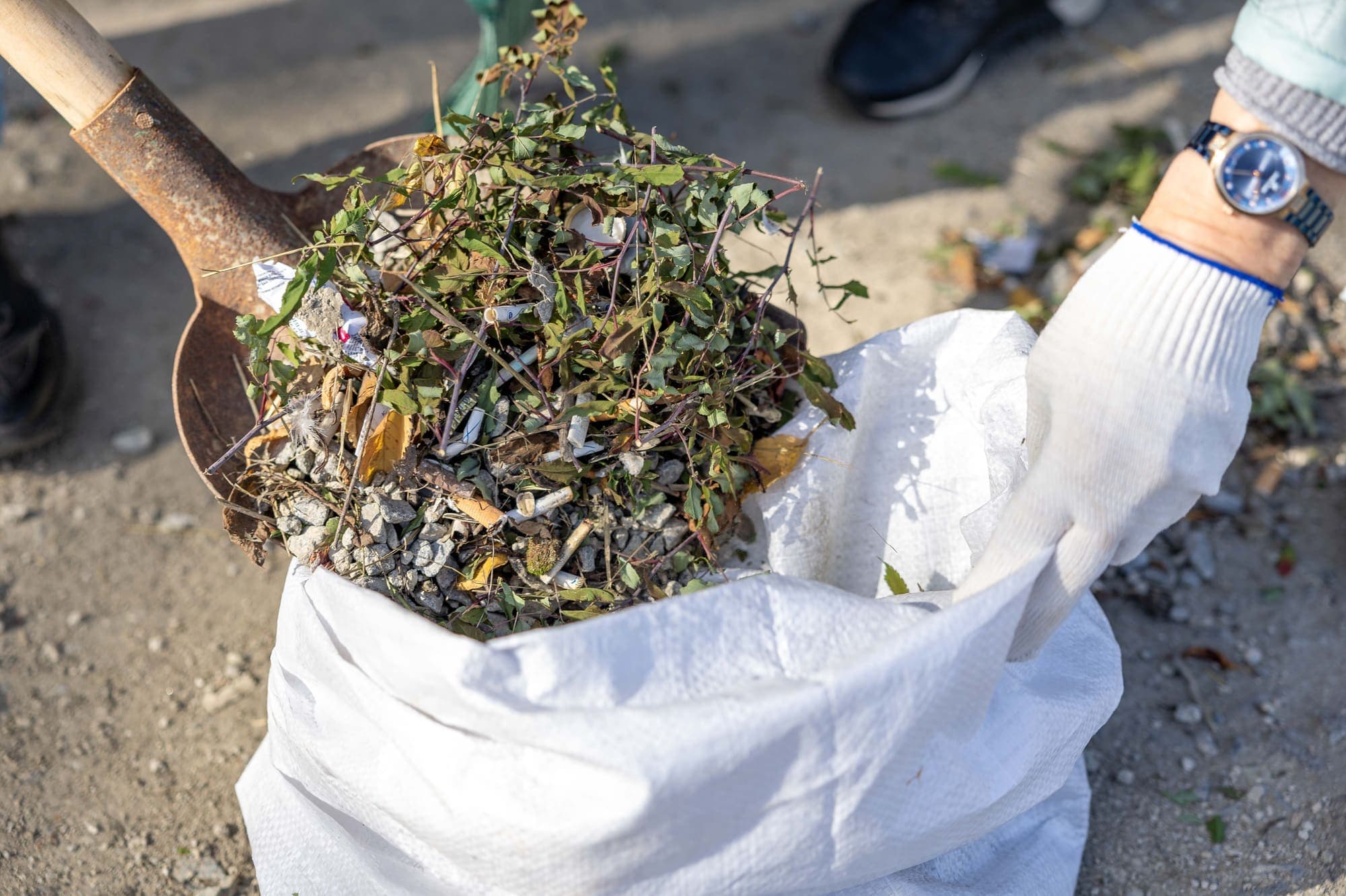 Gloved hand holding a sack open as cleared weeds and debris are shovelled in