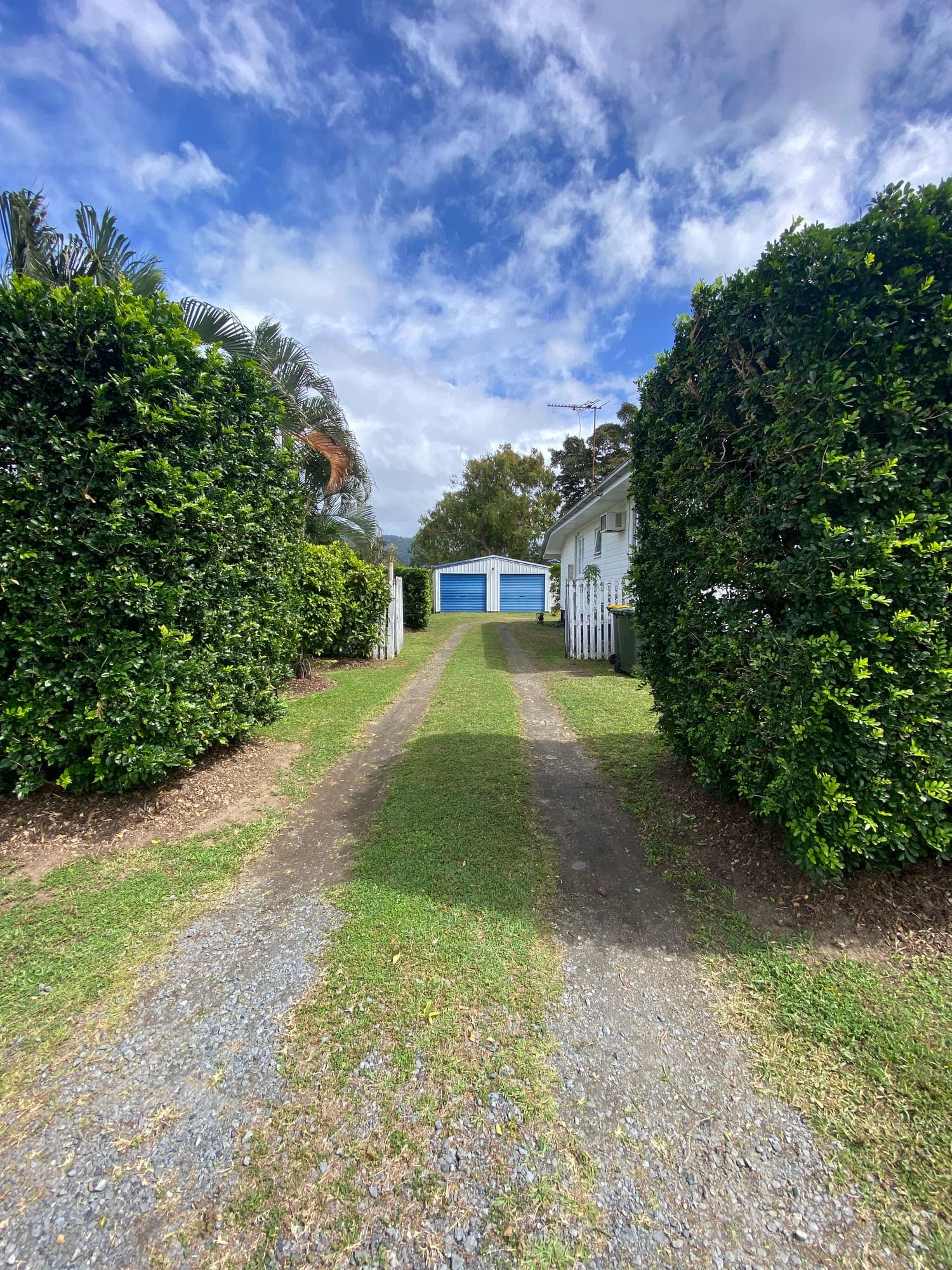 Trimmed hedge line and mown verges along a Cairns driveway