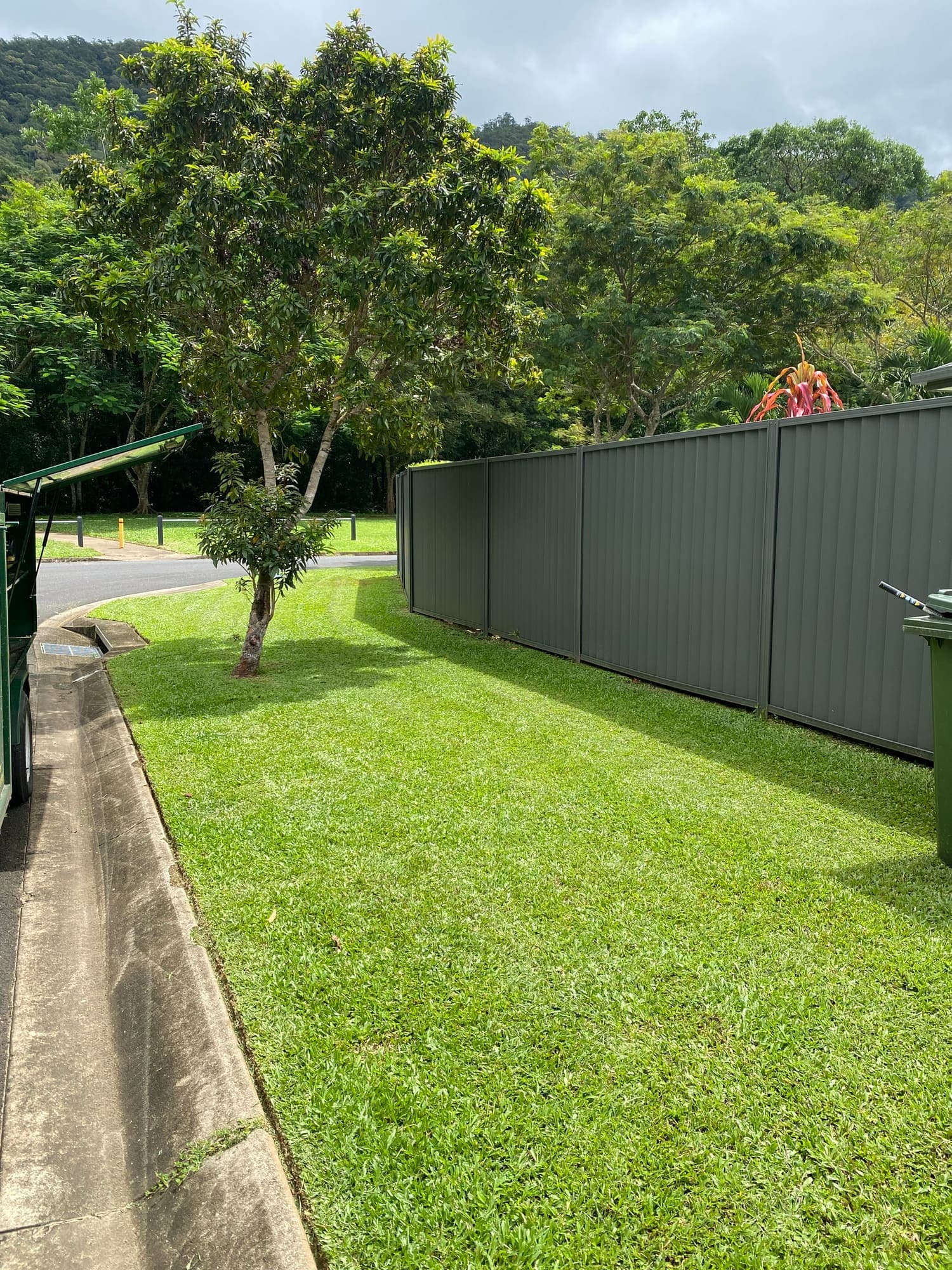 Evenly cut lawn running to the verge at a Cairns property